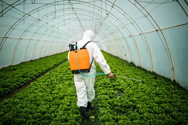Best Emergency Pest Control  in Liberty Corner, NJ