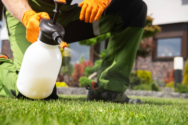 Trusted Liberty Corner, NJ Pest Control Experts