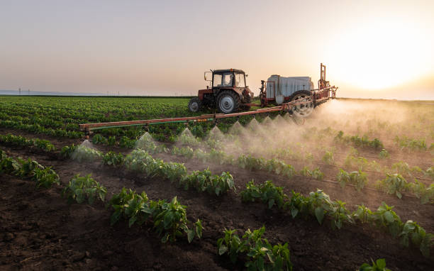 Best Commercial Pest Control Services  in Liberty Corner, NJ