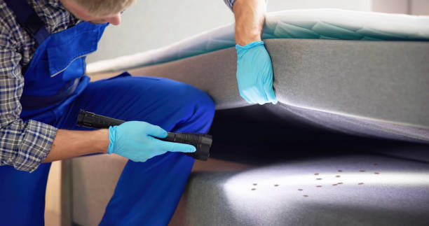 Best Pest Control Treatment  in Liberty Corner, NJ