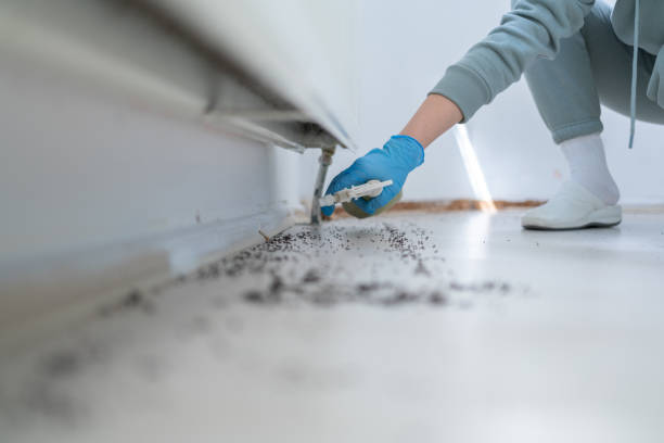 Best Termite Control Services  in Liberty Corner, NJ