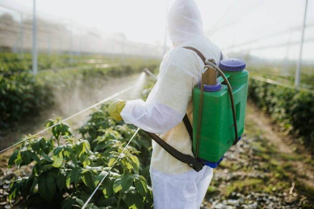 Best Flea Control Services  in Liberty Corner, NJ